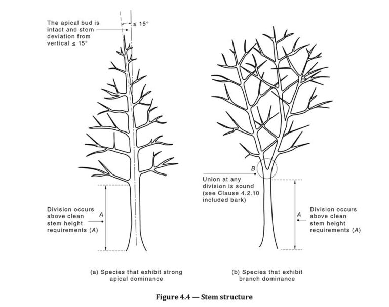 Greenly Arboriculture Consultancy